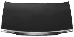 CAPOT ESPOLON PEUGEOT 405 [ORAN]