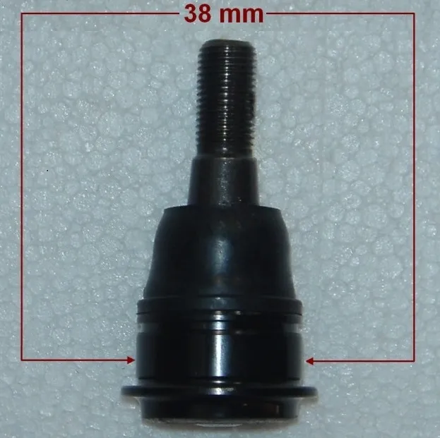 Rótula inferior