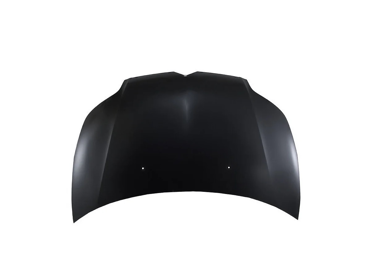 CAPOT ESPOLON CITROEN C4 [ALTERNATIVA]