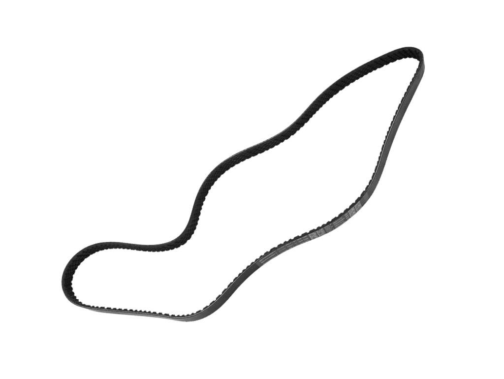 Correa de accesorios para alternador