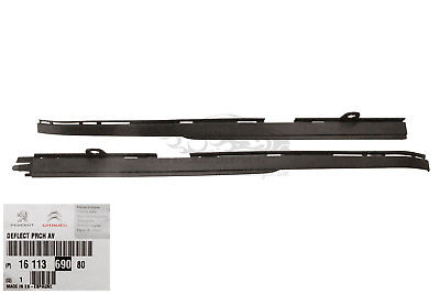 Moldura de paragolpes delantero