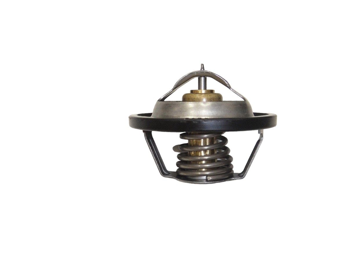 TERMOSTATO*CH CAPTIVA 2.4