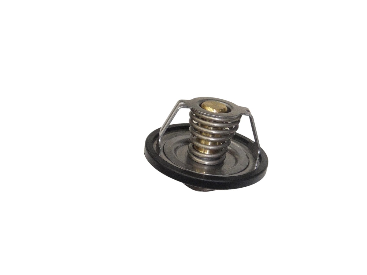 TERMOSTATO*CH CAPTIVA 2.4