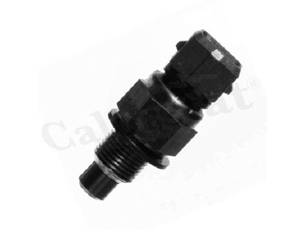 BULBO TEMPERATURA DW8 VERDE CITROEN PEUGEOT XSARA SAXO 206 307 [FAE]