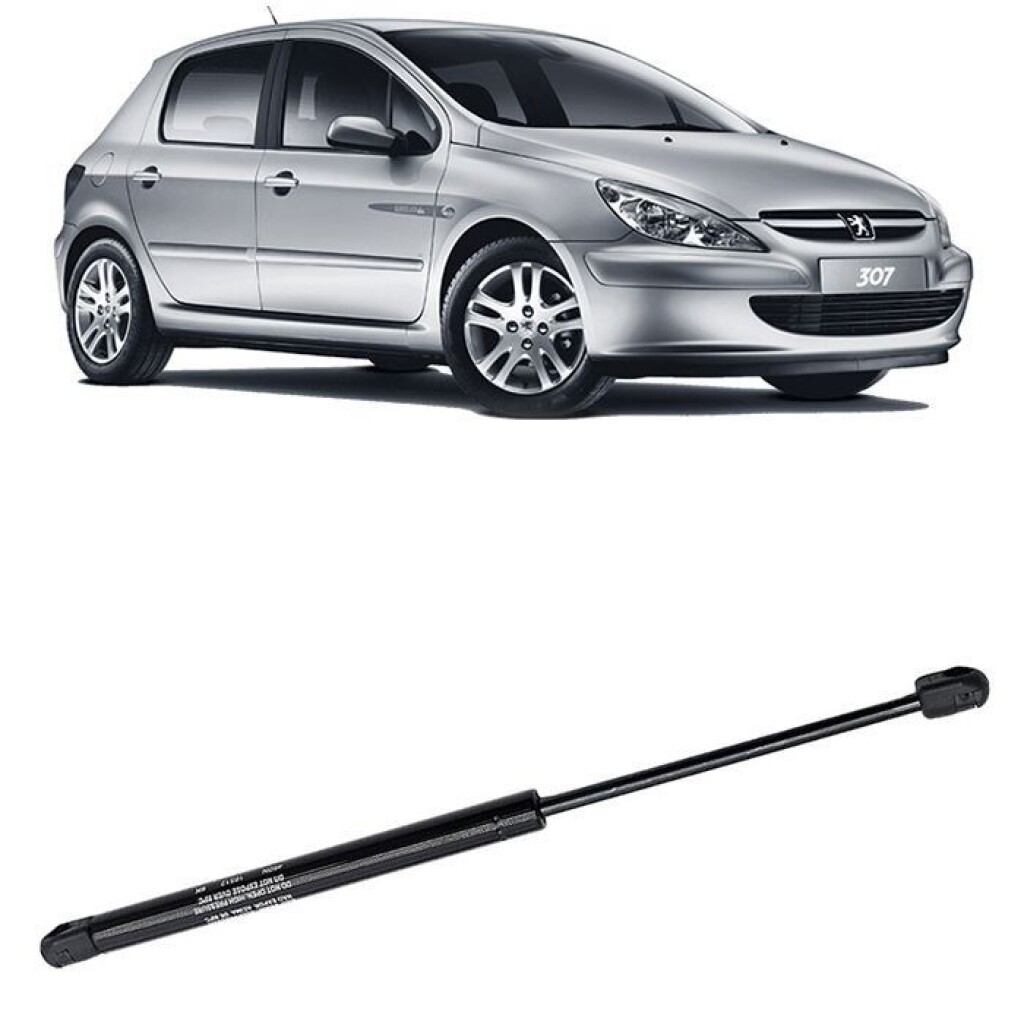 AMORTIGUADOR BAUL CITROEN - PEUGEOT PORTON TRAS. 307 HATCH (7925.15)