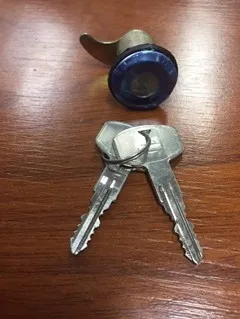 Cilindro de cerradura de portón trasero