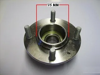 Maza de rueda trasera con rulemán