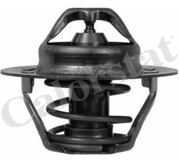 TERMOSTATO RENAULT CLIO/LAGUNA/MEGANE/TRAFIC 1.9D F8Q 89