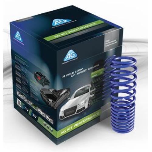 KIT ESPIRALES PROGRESIVOS SUZUKI SWIFT III DELANTERO 1.3 2005...2009