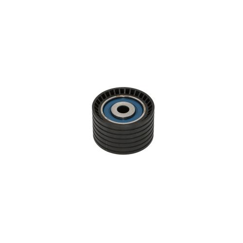 RULEMAN RENAULT GUIA CORREA DISTR. 1.6 NAFTA 16V K4M CLIO MEGANE KANGOO 32X54X10MM