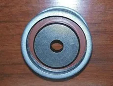 Tensor fijo de correa
