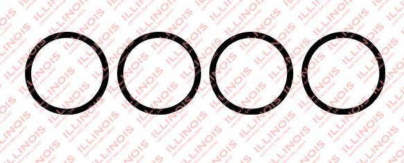 JUNTA DE MULTIPLE ADMISION Y ESCAPE RENAULT 19/CLIO/LAGUNA/ F3P ILLINOIS [ILLINOIS]