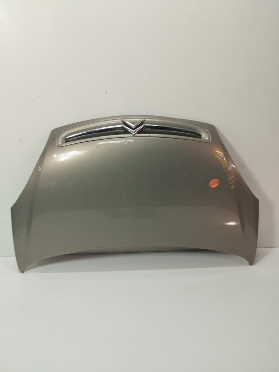 Espolon Citroën Xsara Picasso 1999-2011 SX