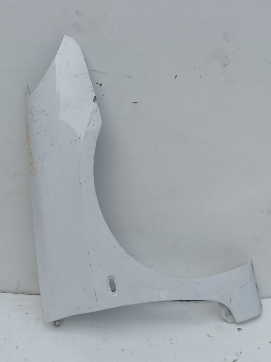 Guardabarro Delantero Izquierdo Peugeot 307 (S1) 2001-2005 XR