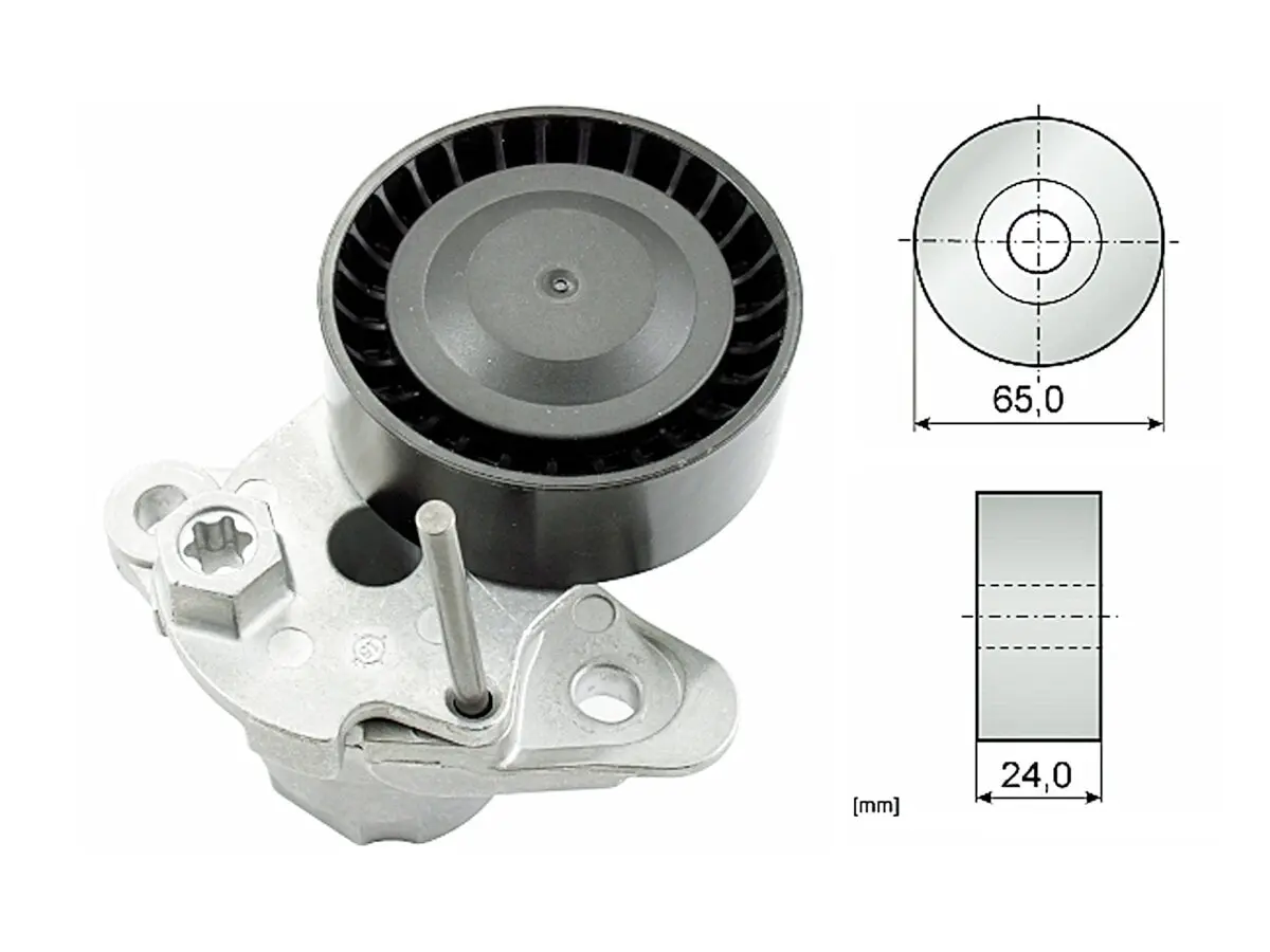 Tensor De La Correa Audi Q3/A3/A4/A1 Seat Leon Sc/Ibiza V Volks Golf New Beetle Tiguan 13-25