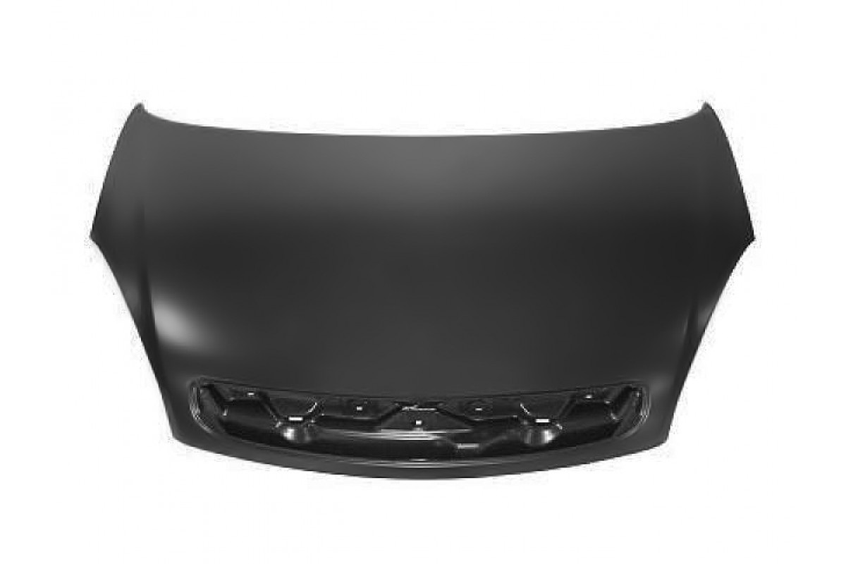 CAPOT ESPOLON CITROEN XSARA PICASSO [ALTERNATIVO]