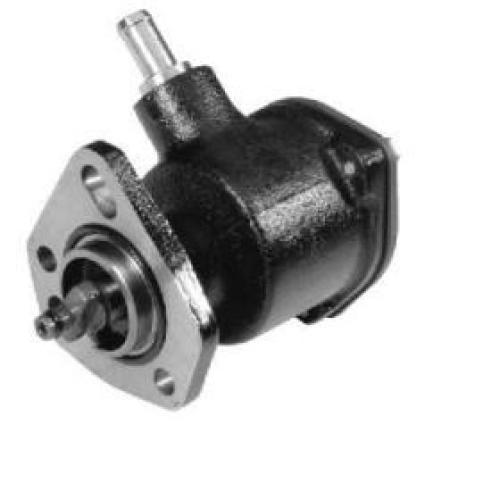 BOMBA VACIO FIAT 1.3 1.7D DUNA SIENA 8 Y 9MM (UNIFICADA) 1/2 LITRO 1 MINUTO OK -RAFAELA MOTORES