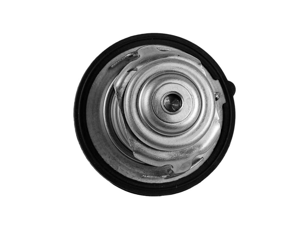 TERMOSTATO JAC T8 PRO